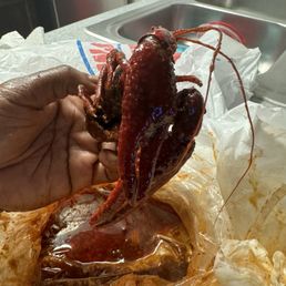Crawfish Medium Spice