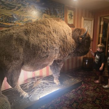 AJ Spurs Saloon & Dining Hall - The twins examine one of the life size animals - Steakhouses Near Me - Grover Beach, California