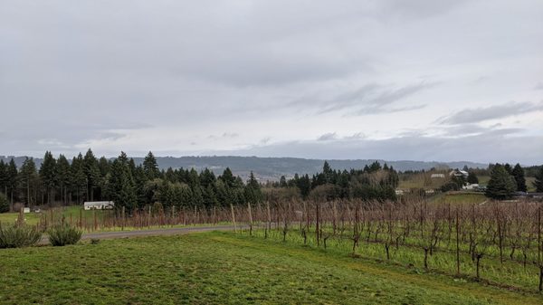 L'Angolo Estate by null