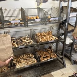 Bagel Nash