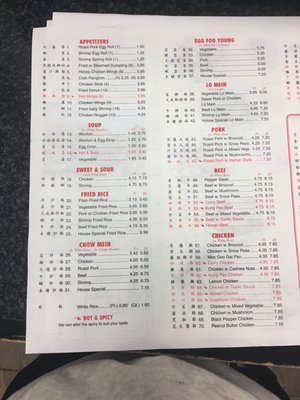 Hong Kong Chinese Restaurant Since 2024 by null