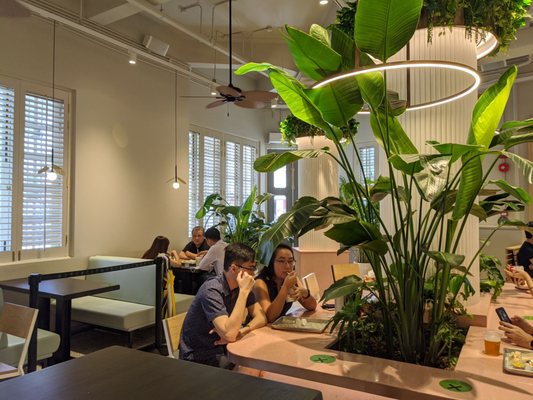 Shake Shack 89 Neil Road by null