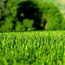 C and C Land Solutions