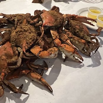 Quarterdeck - 1/2 dozen medium male crabs - Seafood Near Me - Arlington, Virginia Quarterdeck - 1/2 dozen medium male crabs - Seafood Near Me - Arlington, Virginia