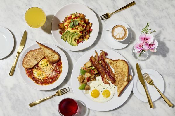 About Last Knife (ALK) by null About Last Knife (ALK) by null