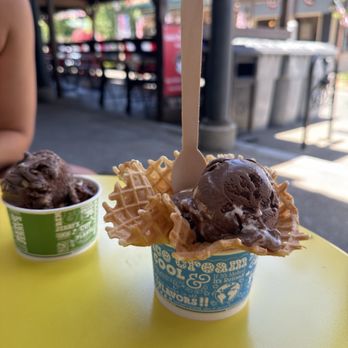 Ben & Jerry’s - Phish food in a waffle cup - Ice Cream & Frozen Yogurt Near Me - Folsom, California