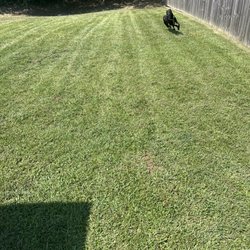 South Mississippi Lawn Care