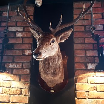 The Bootlegger - Welcome to The Bootlegger my deer. - Cocktail Bars Near Me - Cardiff, CRF