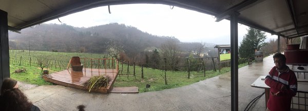 Podere Còncori by null