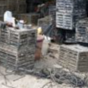 San Marcos de Apalache Historic State Park - stone crab traps st marks - Museums Near Me - Saint Marks, Florida San Marcos de Apalache Historic State Park - stone crab traps st marks - Museums Near Me - Saint Marks, Florida