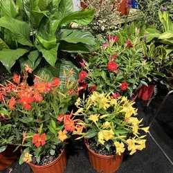 EcoLove Nursery And Farm