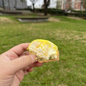 Common Bond Bistro & Bakery - City Place - Lemon Pistachio Tart - Bakeries Near Me - Spring, Texas