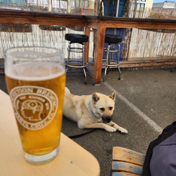 Discretion Brewing - Good choice Daddy! Big Dipper Golden Ale! - Breweries Near Me - Soquel, California Discretion Brewing - Good choice Daddy! Big Dipper Golden Ale! - Breweries Near Me - Soquel, California
