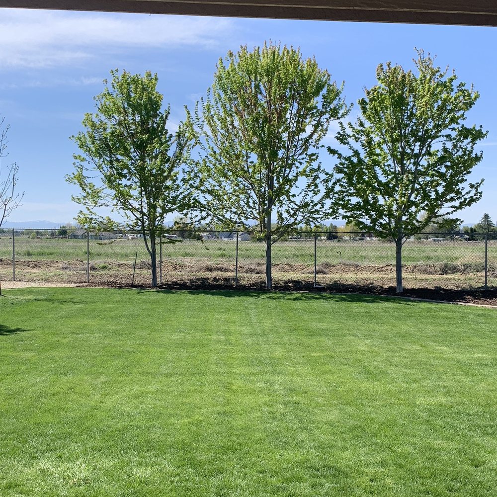 All Pro - My Back Yard All Pro - My Back Yard