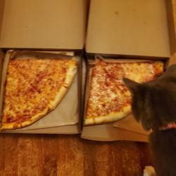 Pagliacci Pizza - 4 slices of cheese