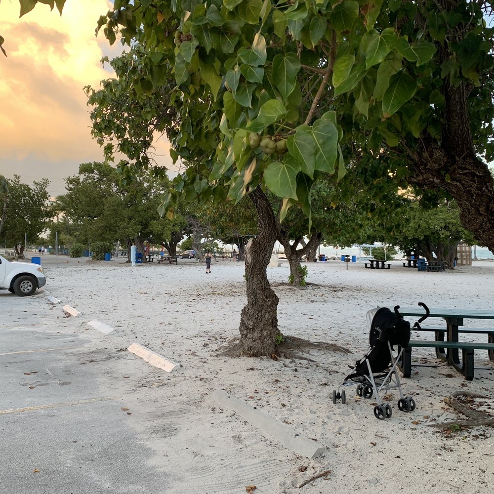 Harry Harris Park - Parking lot next to beach area and restrooms... - Parks Near Me - Key Largo, Florida Harry Harris Park - Parking lot next to beach area and restrooms... - Parks Near Me - Key Largo, Florida