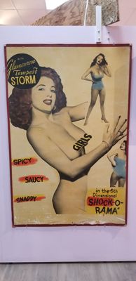 Burlesque Hall of Fame by null