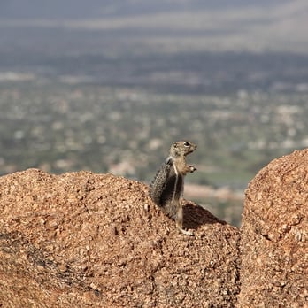 Camelback Mountain - Parks Near Me - Phoenix, Arizona