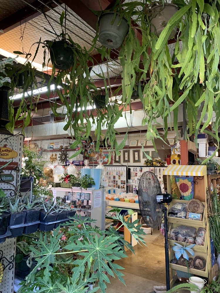 POOKEY’S BARGAIN BARN Updated August 2024 2006 Pinn Rd, San Antonio