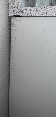 Lido at Shandin Hills by null