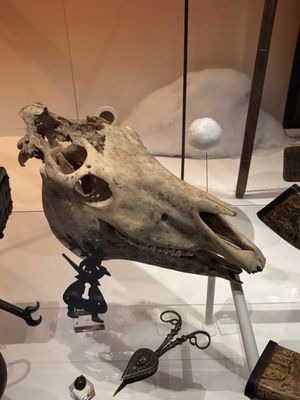 Nordic Museum by null