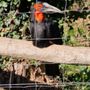 Zoo Neuwied