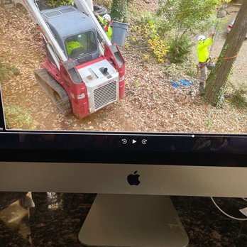 AAA Tree Experts - Foreman and crew - Tree Services Near Me - Roswell, Georgia