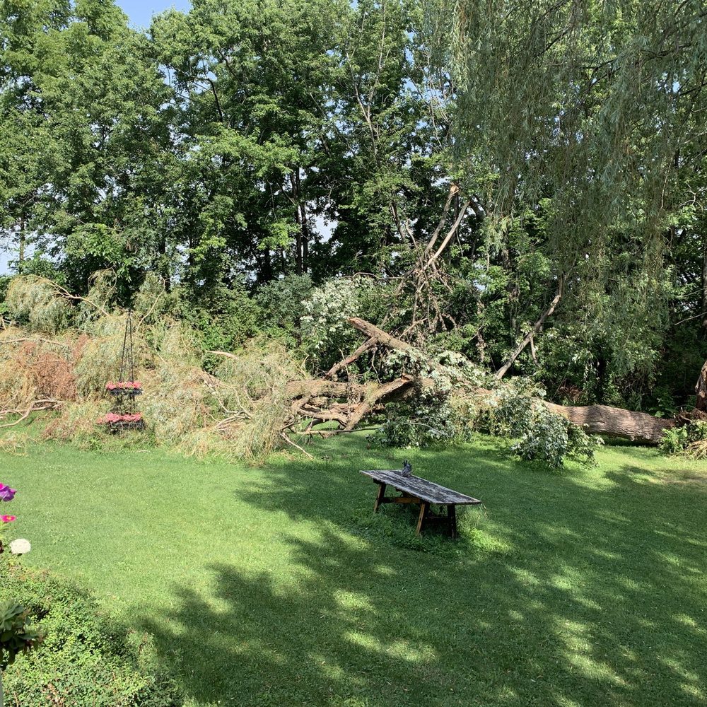 Timbergreen - From this mess ...... - Landscaping Near Me - Harvard, Illinois Timbergreen - From this mess ...... - Landscaping Near Me - Harvard, Illinois
