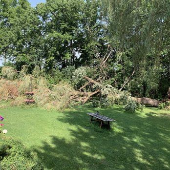 Timbergreen - From this mess ...... - Landscaping Near Me - Harvard, Illinois