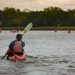 Charleston Kayak Company - Kayaking the Ashley at Middleton Place