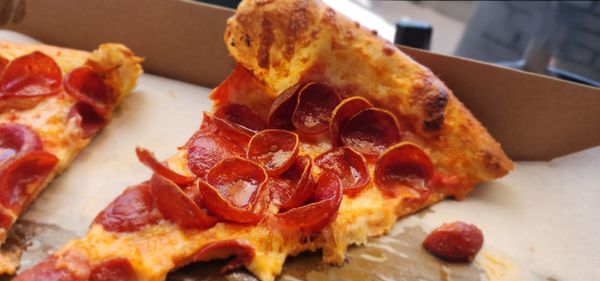 Little Coyote by null