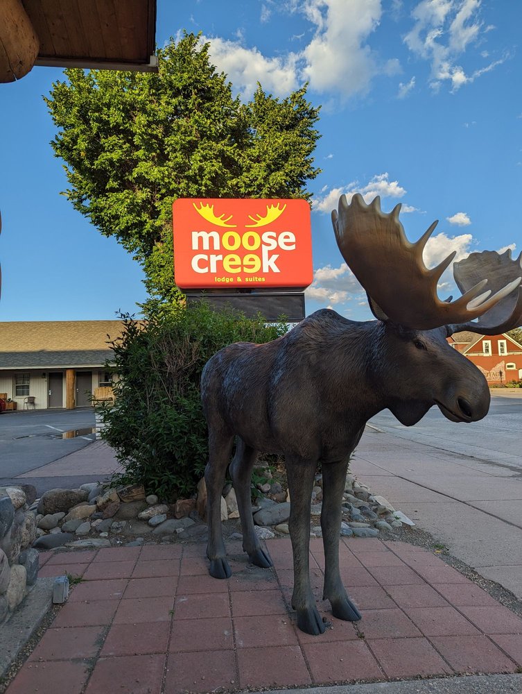 MOOSE CREEK LODGE & SUITES 20 Photos & 65 Reviews 1015 Sheridan Ave
