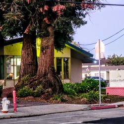 Golden Harbor Healthcare