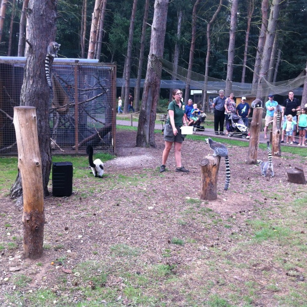 Yorkshire Wildlife Park - Zoos Near Me - Doncaster, XSY