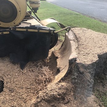 Low Country Stump Removal - Tree Services Near Me Low Country Stump Removal - Tree Services Near Me
