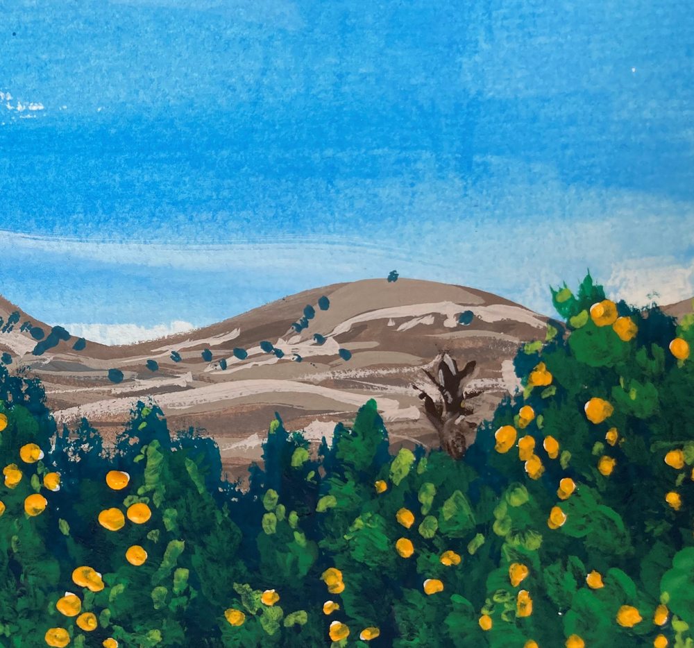 Poppies Art and Gifts