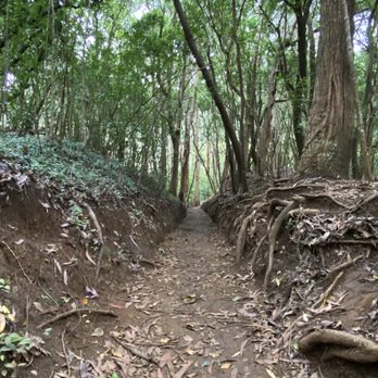 Lulumahu Falls - Hiking Near Me - Honolulu, Hawaii Lulumahu Falls - Hiking Near Me - Honolulu, Hawaii