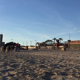 Theres ponies!!!