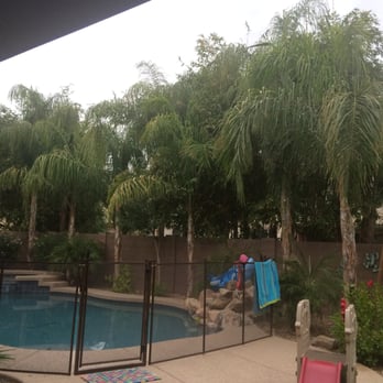 Treewise - After Treewise! Trimmed up and ready to go. - Tree Services Near Me - Mesa, Arizona