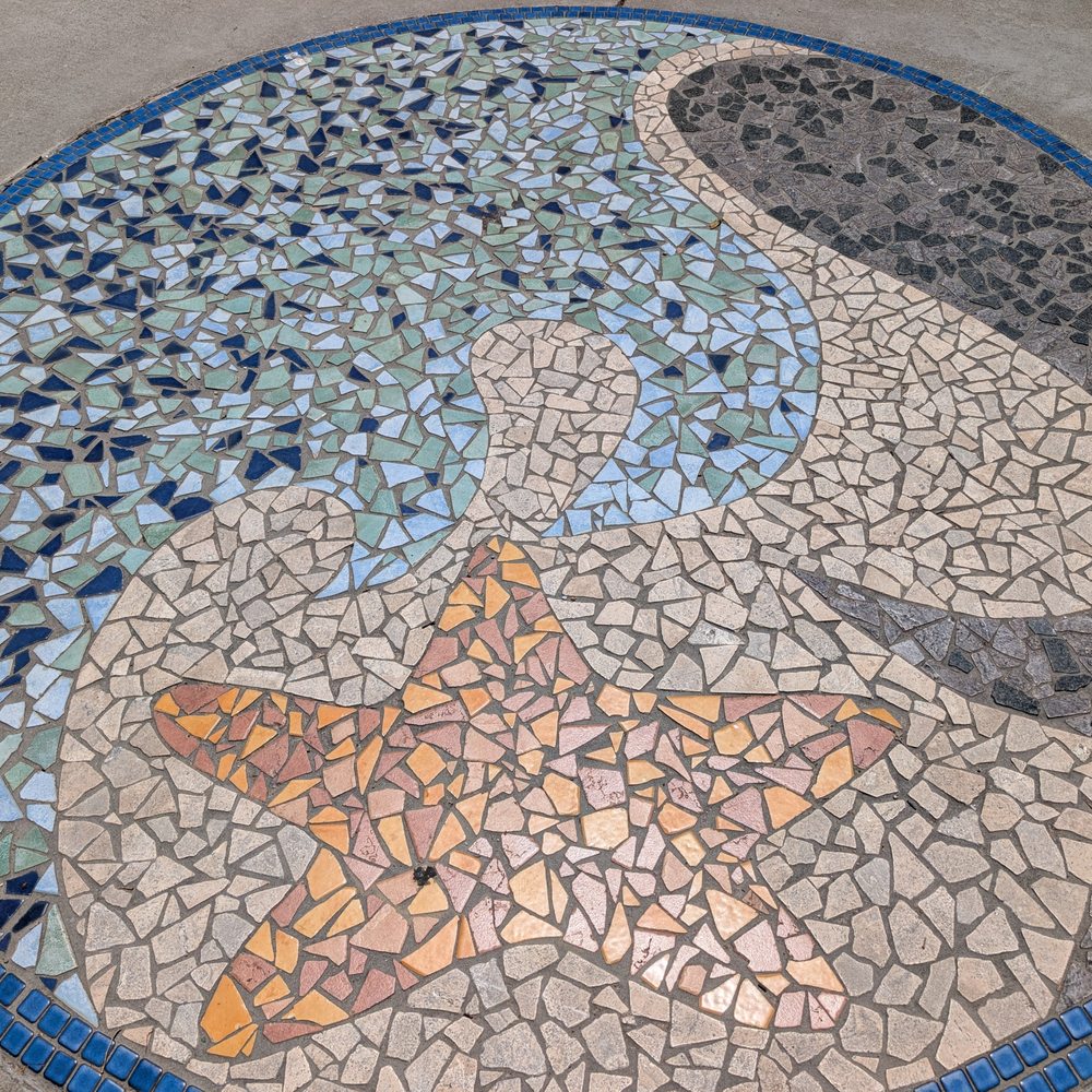Cabrillo High School Aquarium - Aquarium Brand - Aquariums Near Me - Lompoc, California Cabrillo High School Aquarium - Aquarium Brand - Aquariums Near Me - Lompoc, California