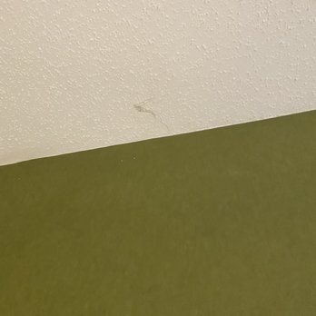 Sleep Inn & Suites - Spider web above bed - Hotels Near Me - Niantic, Connecticut Sleep Inn & Suites - Spider web above bed - Hotels Near Me - Niantic, Connecticut