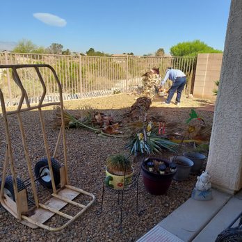 Cipres Tree Service - Working on trunk after cutting - Tree Services Near Me - Las Vegas, Nevada Cipres Tree Service - Working on trunk after cutting - Tree Services Near Me - Las Vegas, Nevada
