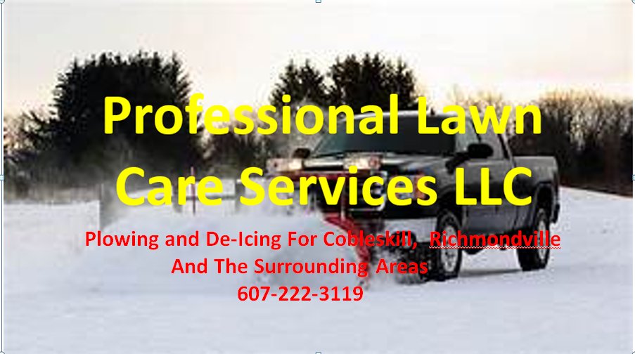 Professional Lawn Care Service - tree service in Richmondville, NY