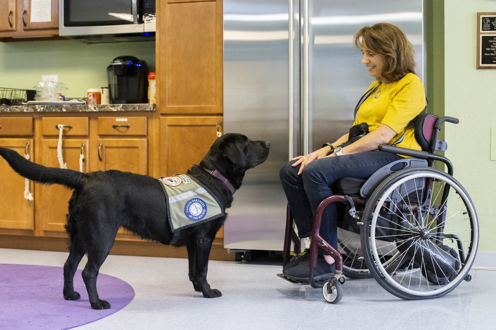 Canine Partners of the Rockies - social services organization in Aurora, CO