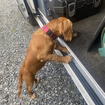 Hoskin Appliance Service - HELPER OF THE MONTH!!! - Appliances & Repair Near Me Hoskin Appliance Service - HELPER OF THE MONTH!!! - Appliances & Repair Near Me