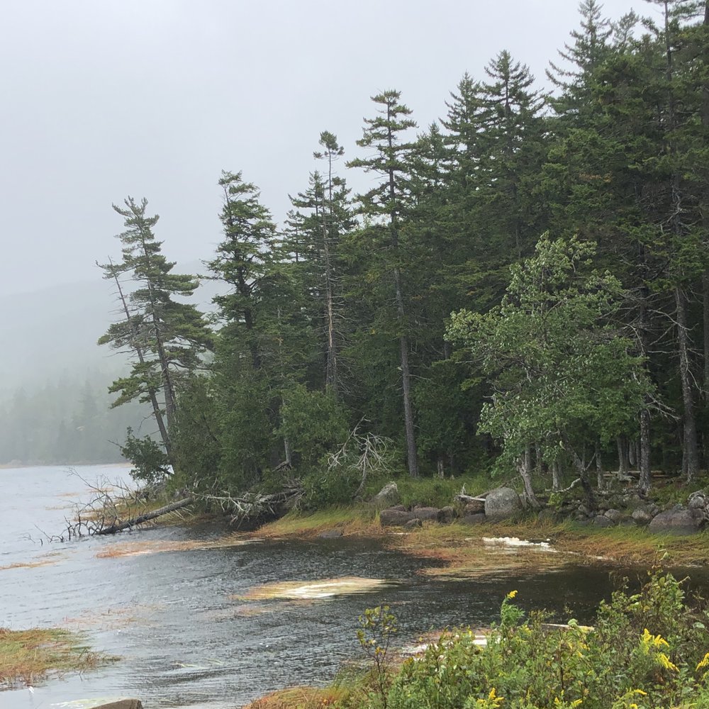 Acadia National Park - Acadia NP - Parks Near Me - Bar Harbor, Maine Acadia National Park - Acadia NP - Parks Near Me - Bar Harbor, Maine