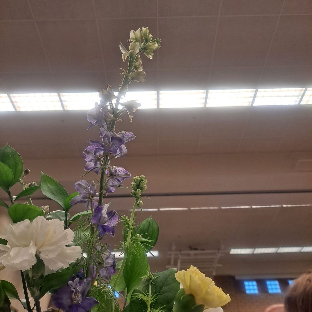 Kerman Community Center - Table decor - Community Centers Near Me - Kerman, California Kerman Community Center - Table decor - Community Centers Near Me - Kerman, California