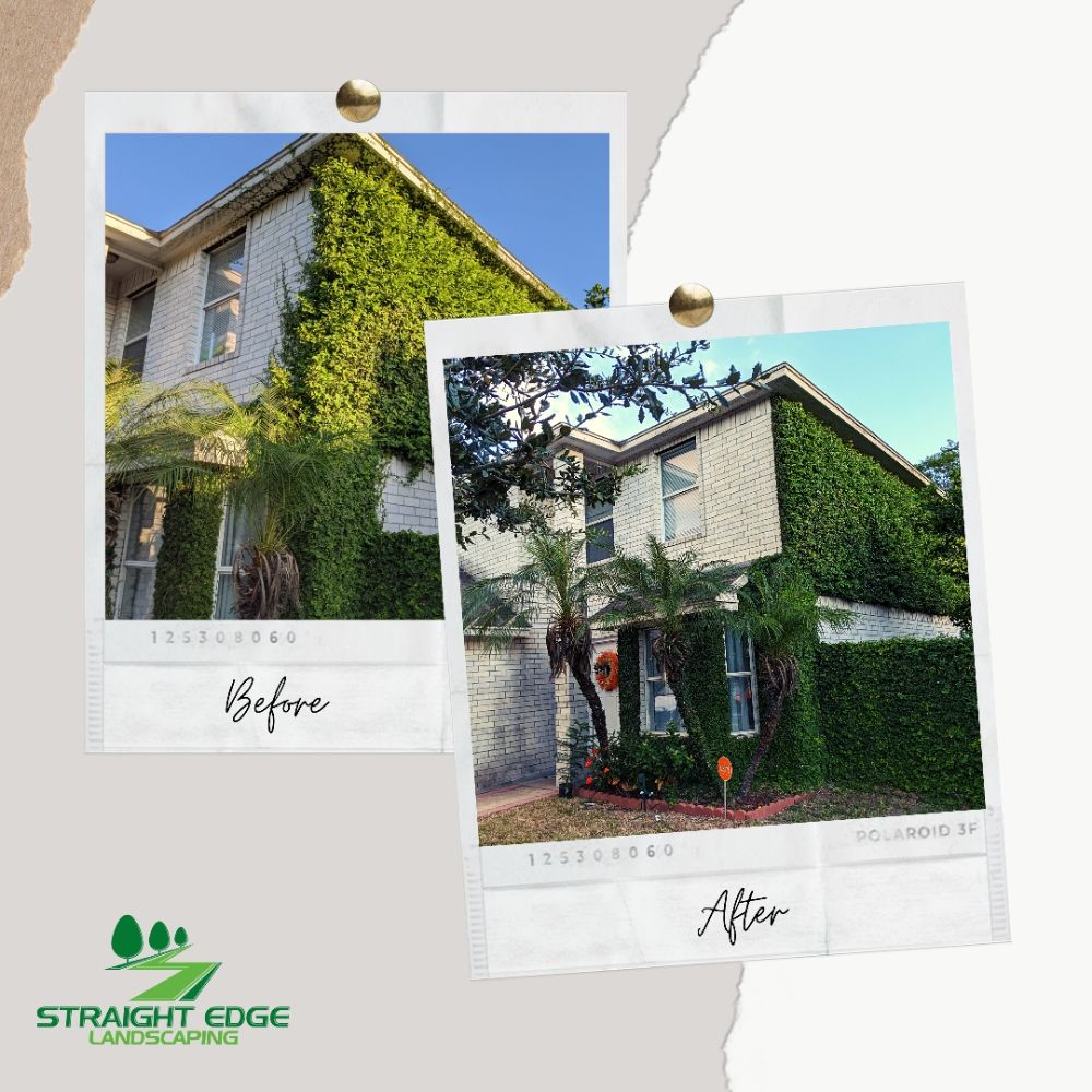 STRAIGHT EDGE LANDSCAPING Updated June 2024 Olmito, Texas