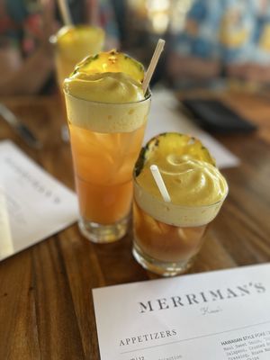 Merriman's Kauai by null