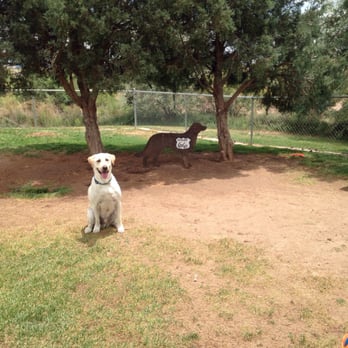 Kiwanis Dog Park - Our pup next to the shady area! Thankfully it wasn't too hot when we visited! - Dog Parks Near Me - Holbrook, Arizona